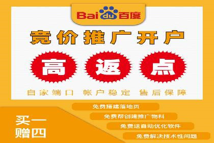 百度网络推广实战技巧：案例解析，让广告投放更精准